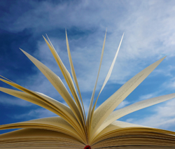 Blogkategorie Buchbesprechungen | Foto: Michaela (kranich17)/pixabay