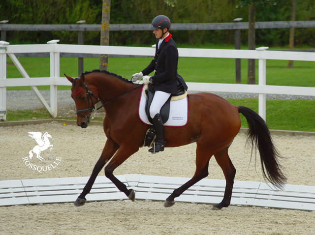 Graefin-Annabel-5855